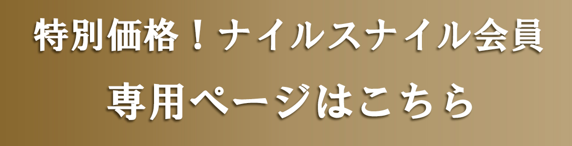 専用サイトはこちら