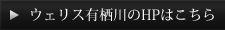 ウェリス有栖川のHPはこちら